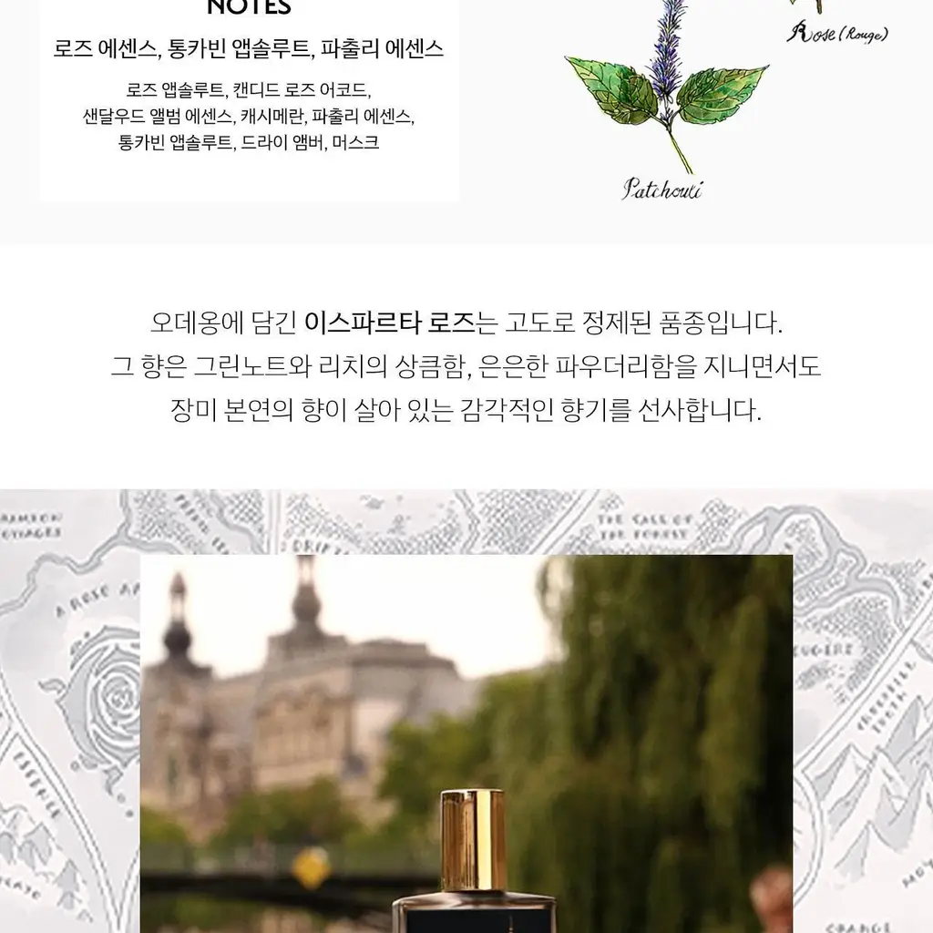 [NEW] 메모 오데옹 오드퍼퓸 30ml 상세페이지 3